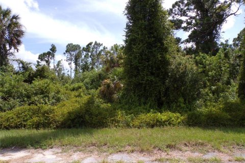 Land in North Port, Florida № 2204482