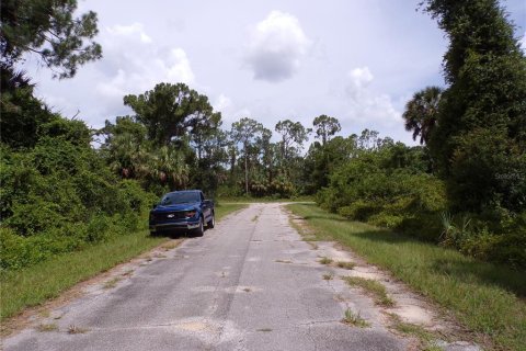 Land in North Port, Florida № 2204482 - photo 6