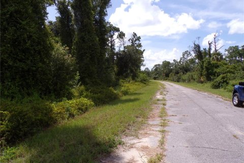 Land in North Port, Florida № 2204482 - photo 2