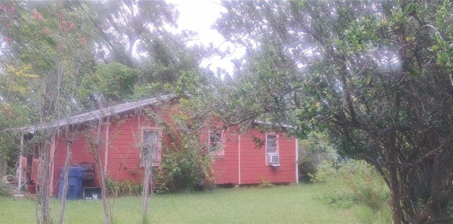 Immobilier commercial à DeLand, Floride 8 chambres, 222.04 m2 № 1820937