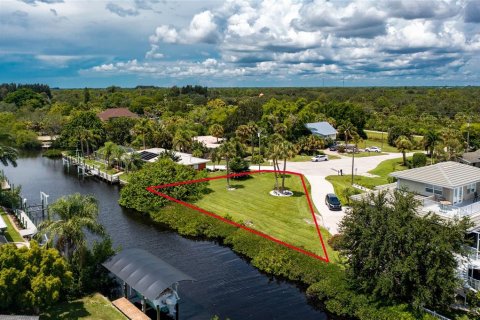 Land in Punta Gorda, Florida № 1894829 - photo 4