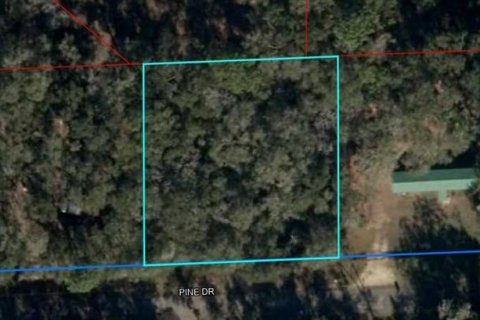 Land in Bronson, Florida № 2160494