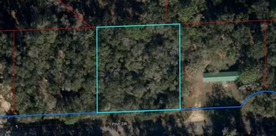 Land in Bronson, Florida № 2160494