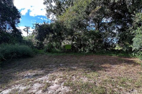Terrain à Inglis, Floride № 2230658