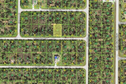 Terrain à vendre à Port Charlotte, Floride № 2233377 - photo 2