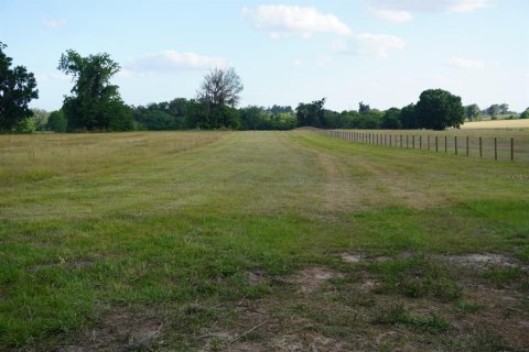 Land in Anthony, Florida № 1114793 - photo 3