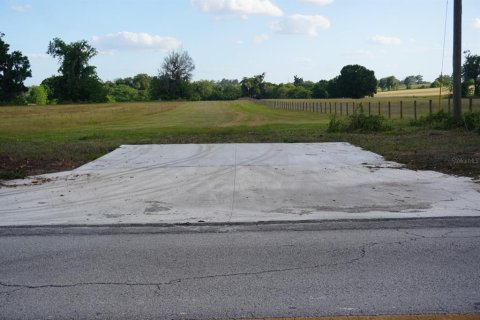 Land in Anthony, Florida № 1114793 - photo 4