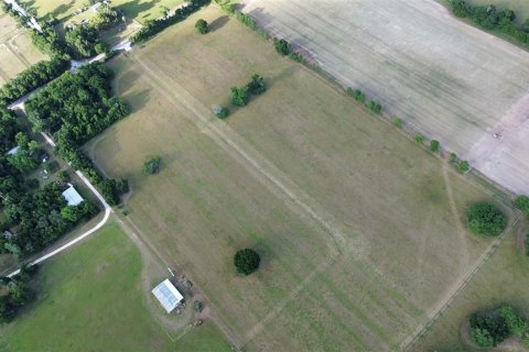 Land in Anthony, Florida № 1114793 - photo 5