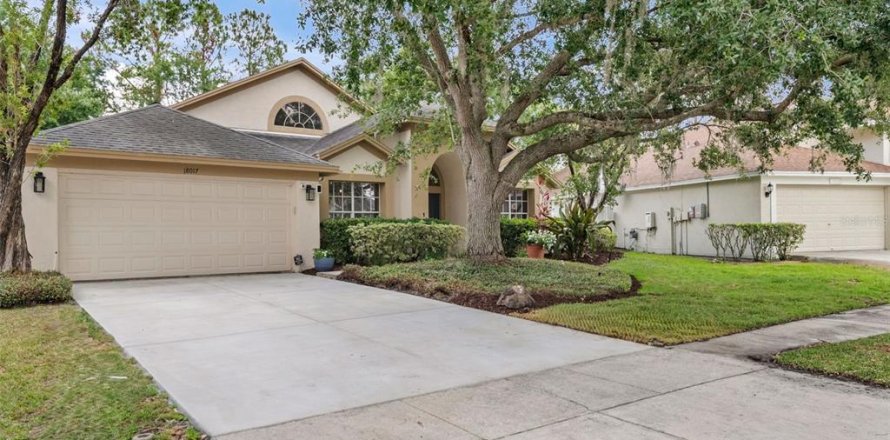 House in Tampa, Florida 4 bedrooms, 236.53 sq.m. № 1756989