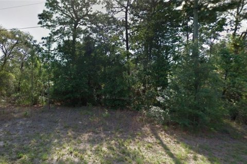 Land in Citrus Springs, Florida № 2165961 - photo 3