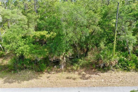 Terreno en venta en Port Charlotte, Florida № 2158735 - foto 17