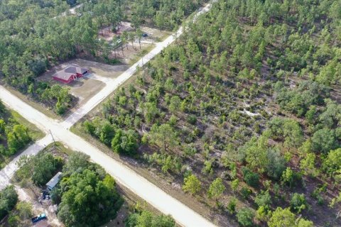 Land in Williston, Florida № 2208896 - photo 5
