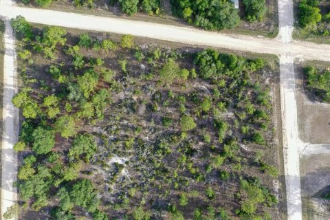 Land in Williston, Florida № 2208896 - photo 9