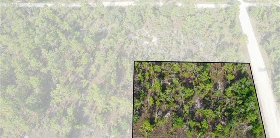 Land in Williston, Florida № 2208896