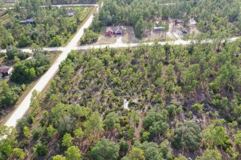 Land in Williston, Florida № 2208896 - photo 6