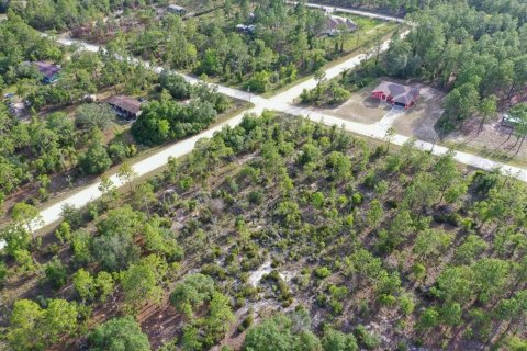 Land in Williston, Florida № 2208896 - photo 7