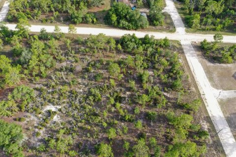 Land in Williston, Florida № 2208896 - photo 8