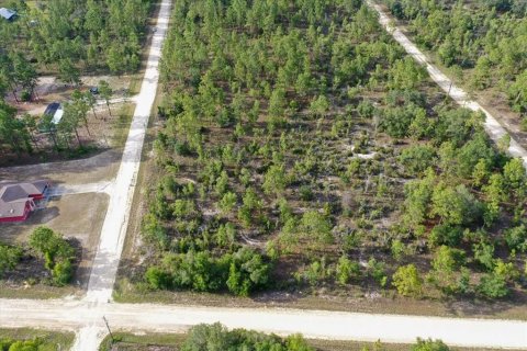 Land in Williston, Florida № 2208896 - photo 4