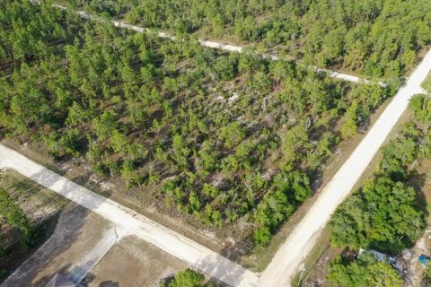 Land in Williston, Florida № 2208896 - photo 3