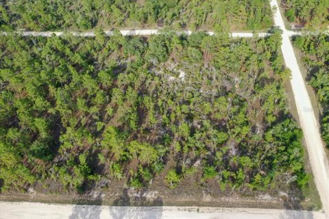 Land in Williston, Florida № 2208896 - photo 2