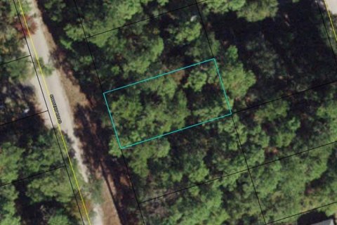 Land in Crawfordville, Florida № 2344947