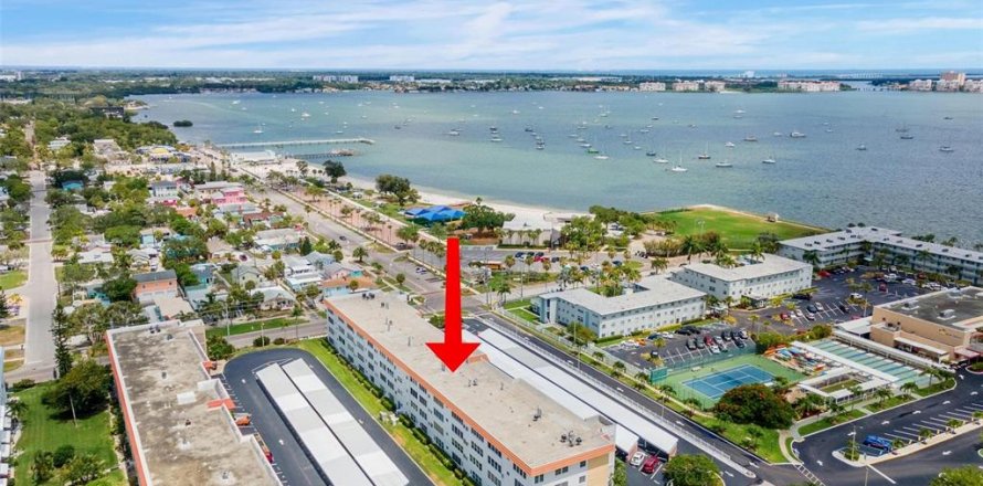 Condo in Gulfport, Florida, 1 bedroom  № 1761937