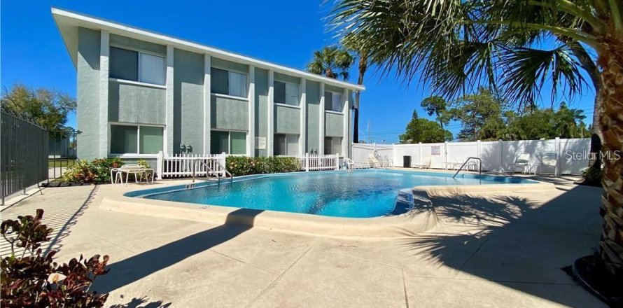Studio à Condo à Saint Petersburg, Floride  № 2411568