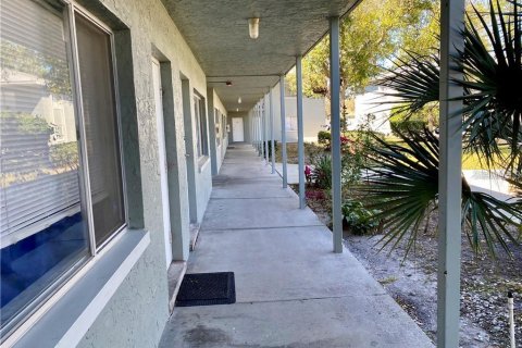 Copropriété à louer à Saint Petersburg, Floride: 1 chambre, 53.42 m2 № 2411568 - photo 2