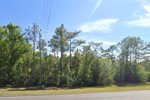 Terreno en venta en Christmas, Florida № 1844768 - foto 3