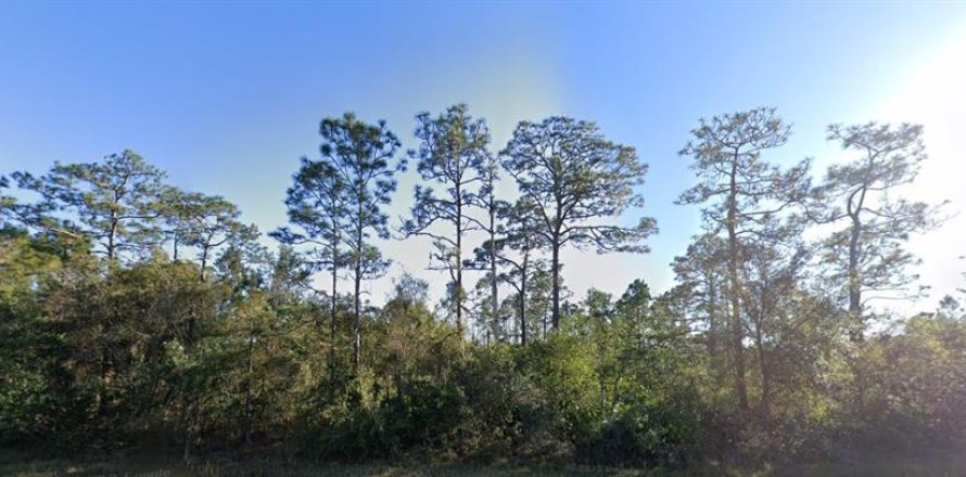 Terreno en Christmas, Florida № 1844768