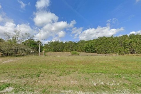 Land in Polk City, Florida № 2162231 - photo 2