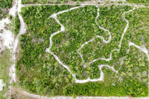 Land in Punta Gorda, Florida № 1689876 - photo 13