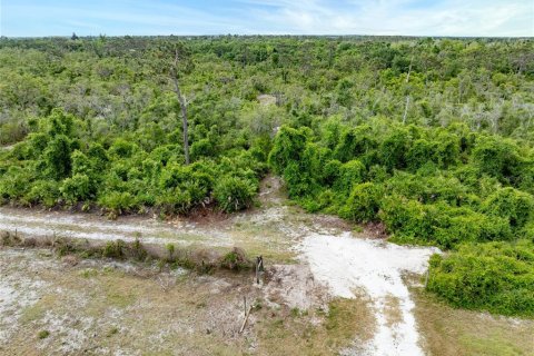 Land in Punta Gorda, Florida № 1689876 - photo 3