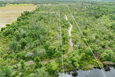 Land in Punta Gorda, Florida № 1689876 - photo 14