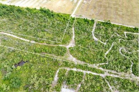 Land in Punta Gorda, Florida № 1689876 - photo 10