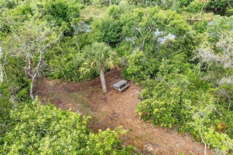 Land in Punta Gorda, Florida № 1689876 - photo 16