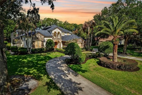 Villa ou maison à Windermere, Floride 5 chambres, 452.99 m2 № 2207787
