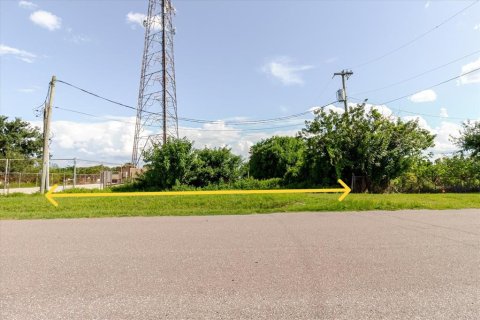 Land in Wimauma, Florida № 1806978 - photo 12