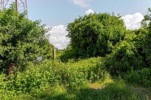Land in Wimauma, Florida № 1806978 - photo 13