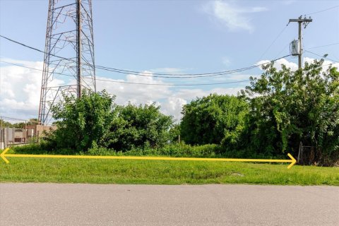 Land in Wimauma, Florida № 1806978 - photo 18
