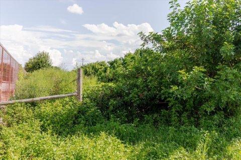 Land in Wimauma, Florida № 1806978 - photo 16