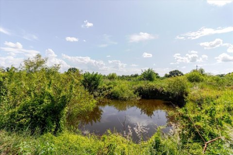 Land in Wimauma, Florida № 1806978 - photo 20