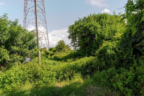 Land in Wimauma, Florida № 1806978 - photo 15