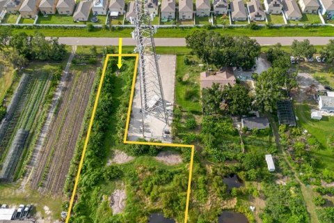 Land in Wimauma, Florida № 1806978 - photo 9