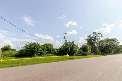 Land in Wimauma, Florida № 1806978 - photo 17