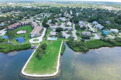Condominio en alquiler en Tarpon Springs, Florida, 2 dormitorios, 96.15 m2 № 1854366 - foto 11
