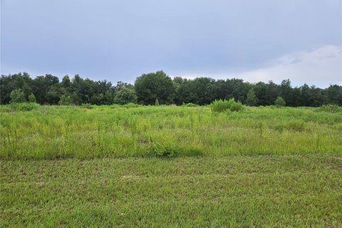 Land in Zephyrhills, Florida № 2329573