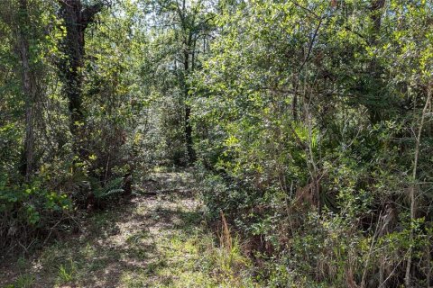 Terreno en venta en Waldo, Florida № 1871052 - foto 4