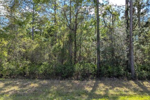 Terreno en venta en Waldo, Florida № 1871052 - foto 6