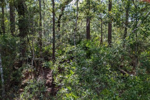 Terreno en venta en Waldo, Florida № 1871052 - foto 3
